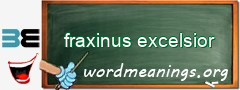 WordMeaning blackboard for fraxinus excelsior